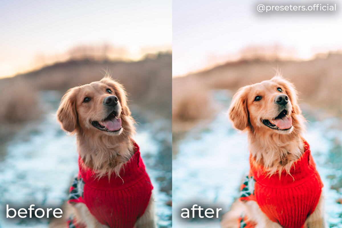 Bright Airy Preset Mobile Presets For Lightroom Bright Airy Preset Mobile Presets For Lightroom