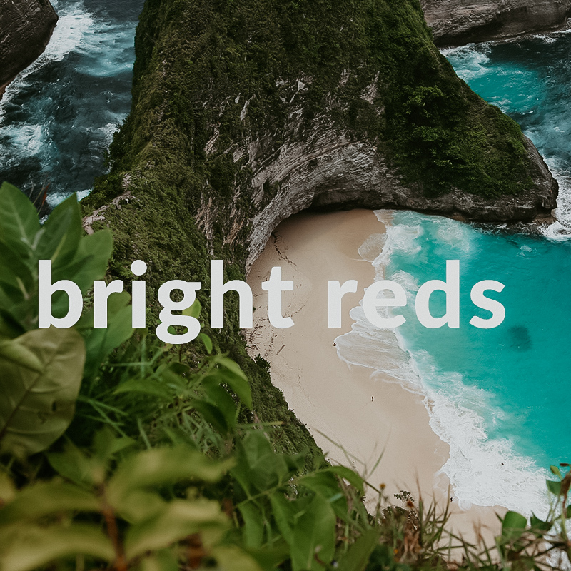 Bright reds Mobile presets for Lightroom Bright reds Mobile presets for Lightroom